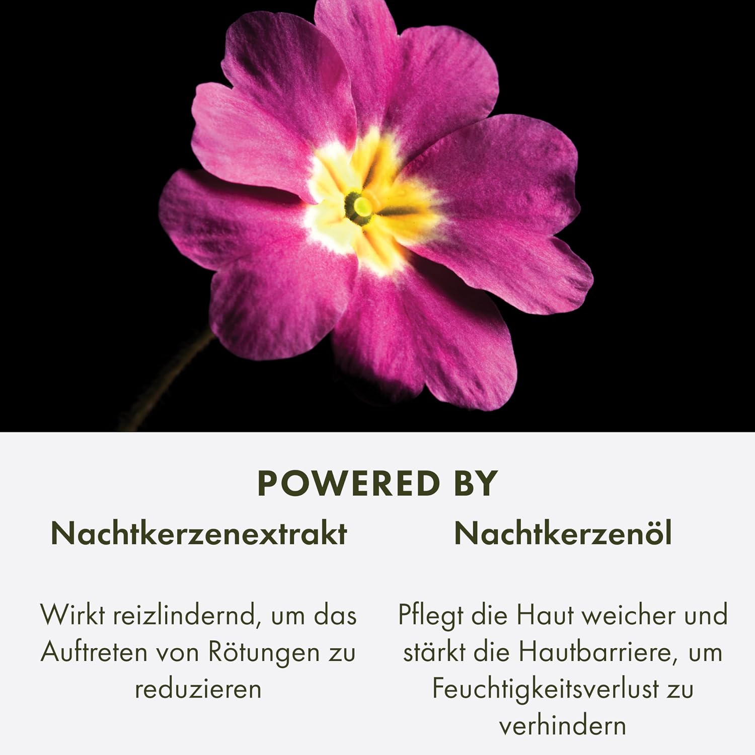 Thumbnail 4 de Origins Mega-Mushroom Overnight Recovery Skin Barrier Cream – Intensive Feuchtigkeit über Nacht