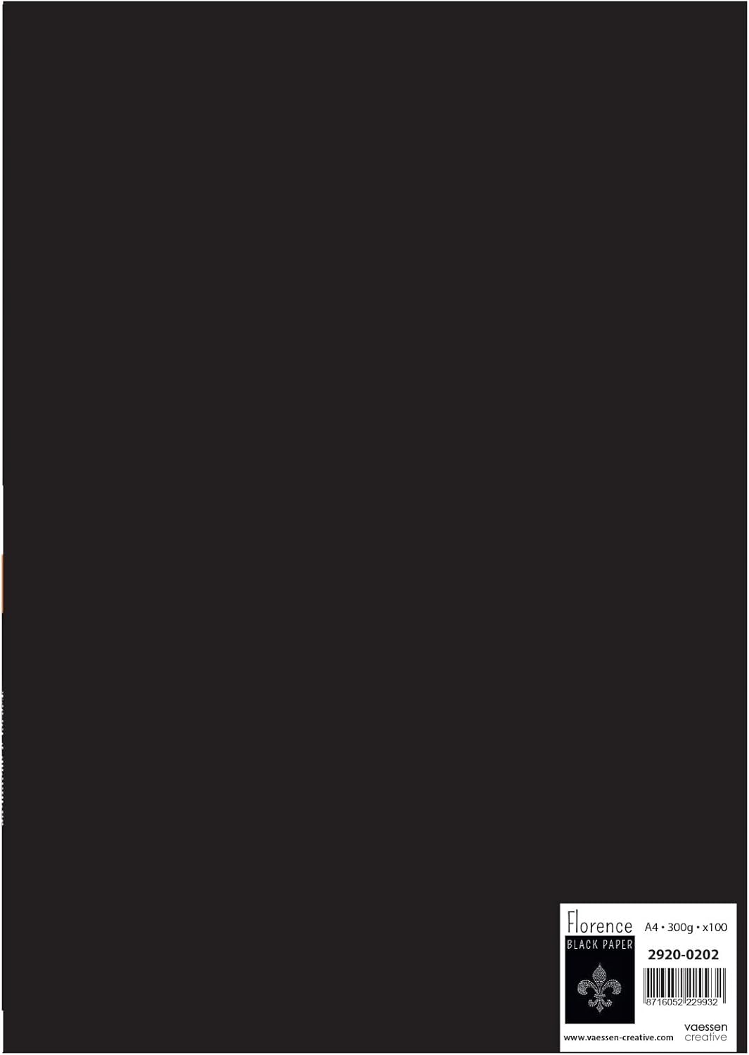 Detalle de Florence Papier Cartonné Noir Lisse A4 – 100 feuilles 300 g/m²