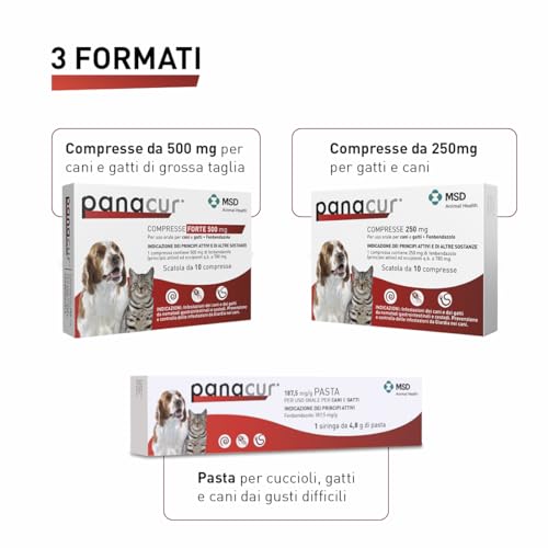 Detalle de Panacur Compresse 250mg – Vermifugo per cani e gatti, agisce contro Giardia e vermi intestinali