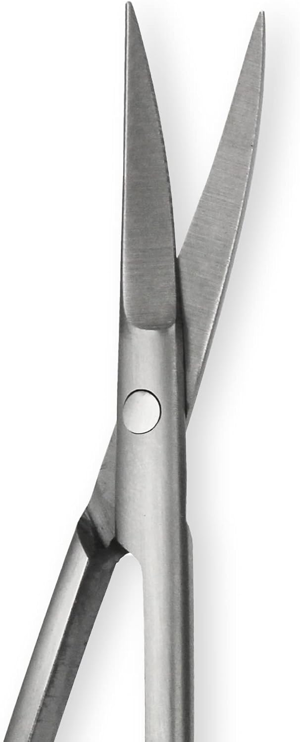 Thumbnail 3 de Amazon Basics Beauty Scissors (Stainless Steel, Curved Precision Cutting) — Silver