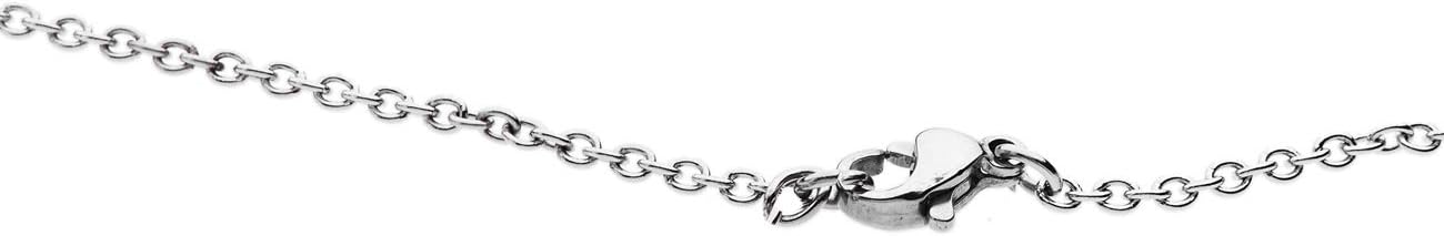 Detalle 2 de Collier Porte-Bonheur Corne en Acier – Corne Italienne Unisexe, 45–50 cm, Coffret Cadeau
