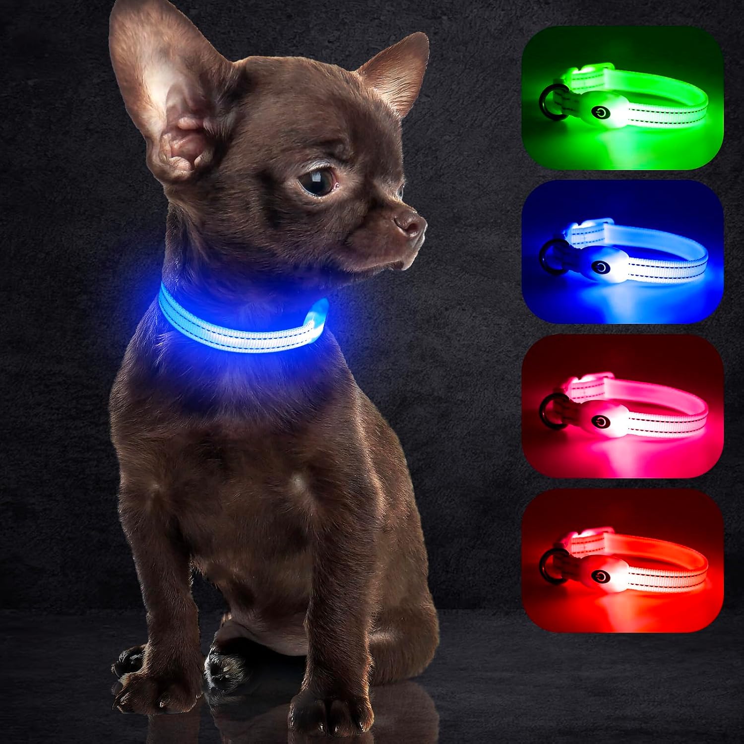 Detalle 2 de YFbrite LED-Hundehalsband XS