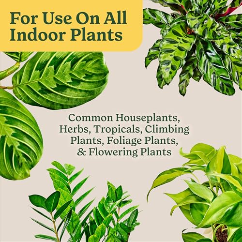 Thumbnail 9 de Miracle-Gro Indoor Plant Grow, Feed & Protect Bundle