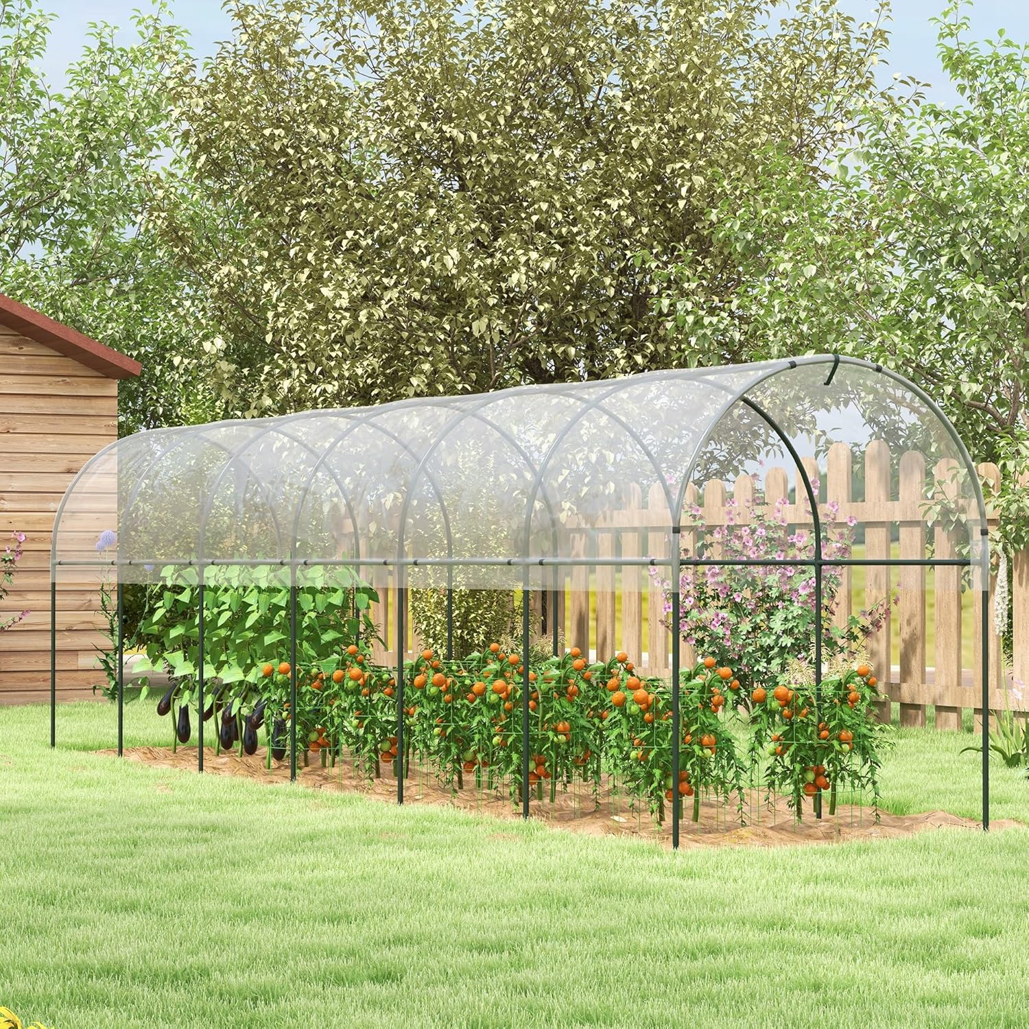 Thumbnail 1 de Outsunny Serre de Jardin – Serre à tomates 600 x 123 x 171 cm, cadre acier et bâche renforcée, transparente
