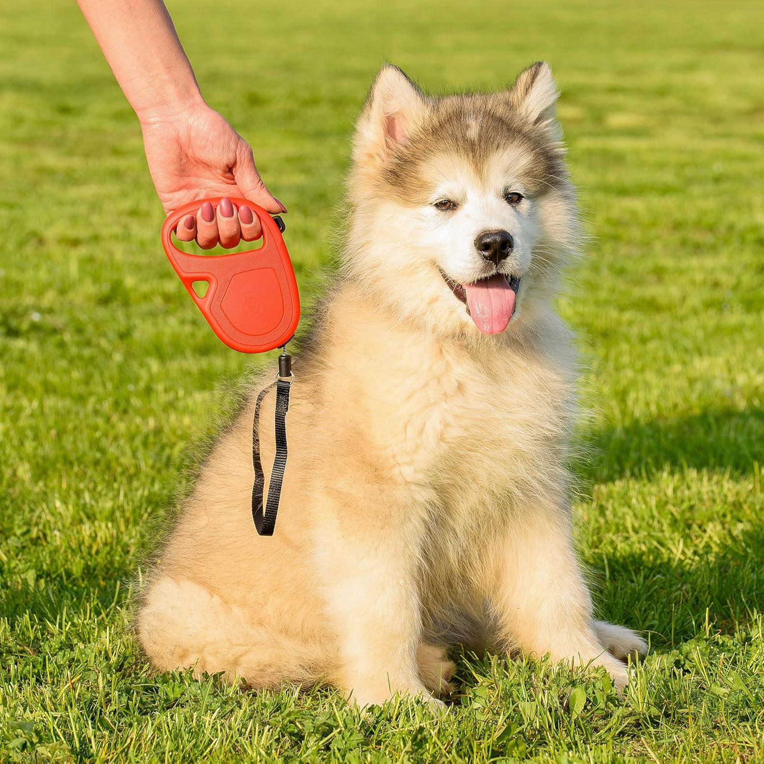 Thumbnail 1 de Ferplast Hundeleine Flippy ONE Rollleine für kleine Hunde bis 12 kg – ausziehbares Band bis 4,5 m, lila