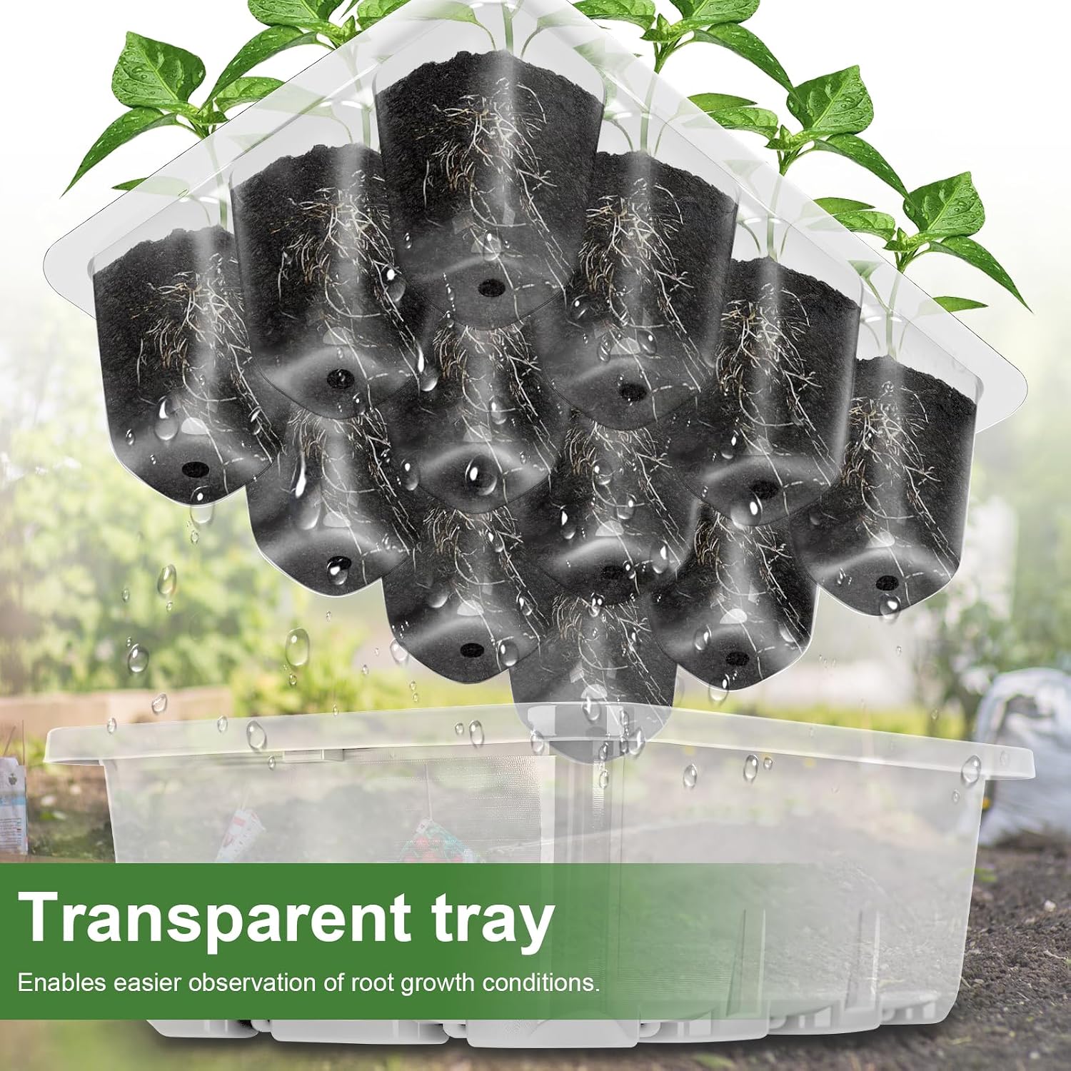 Detalle de Lychee Seed Trays: 10 Pack 120-Cell Propagator with Lidded Rotatable Vent – Transparent PET Seedling Starter Kit