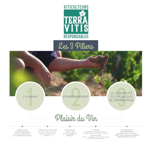 Detalle 2 de Les Accords de Roche Mazet Syrah Marselan Vino Tinto 🍷 (6x75cl)