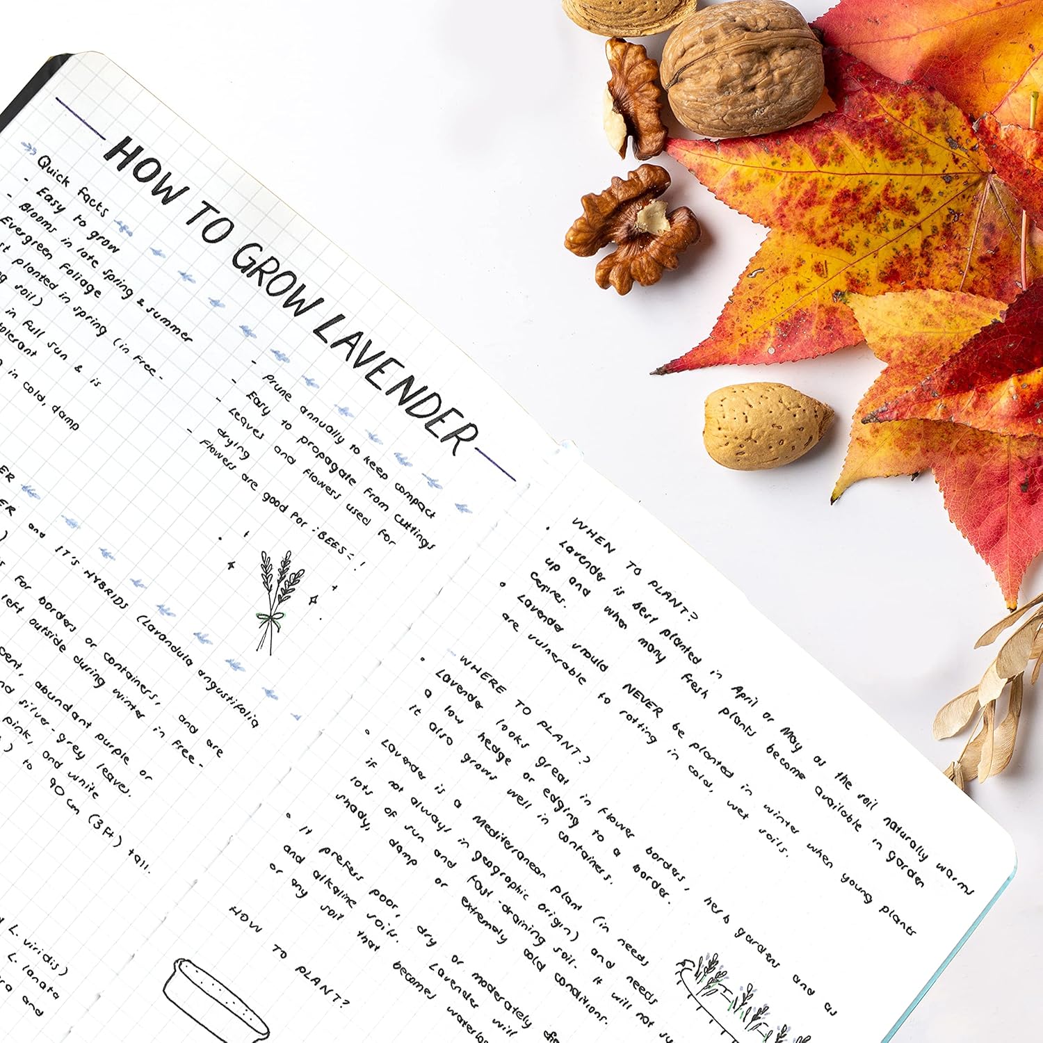 Thumbnail 1 de STATIONERY ISLAND Notizbuch A5 Kariert – Hardcover, 180 Seiten, 120 g/m², 2 Lesebändchen, praktische Tasche