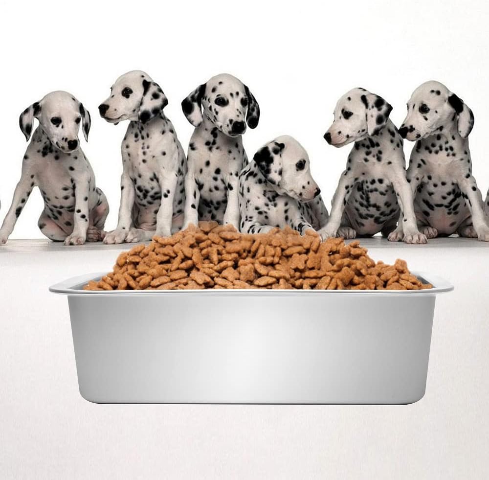 Detalle 2 de Kichwit Dog Bowl, Stainless Steel