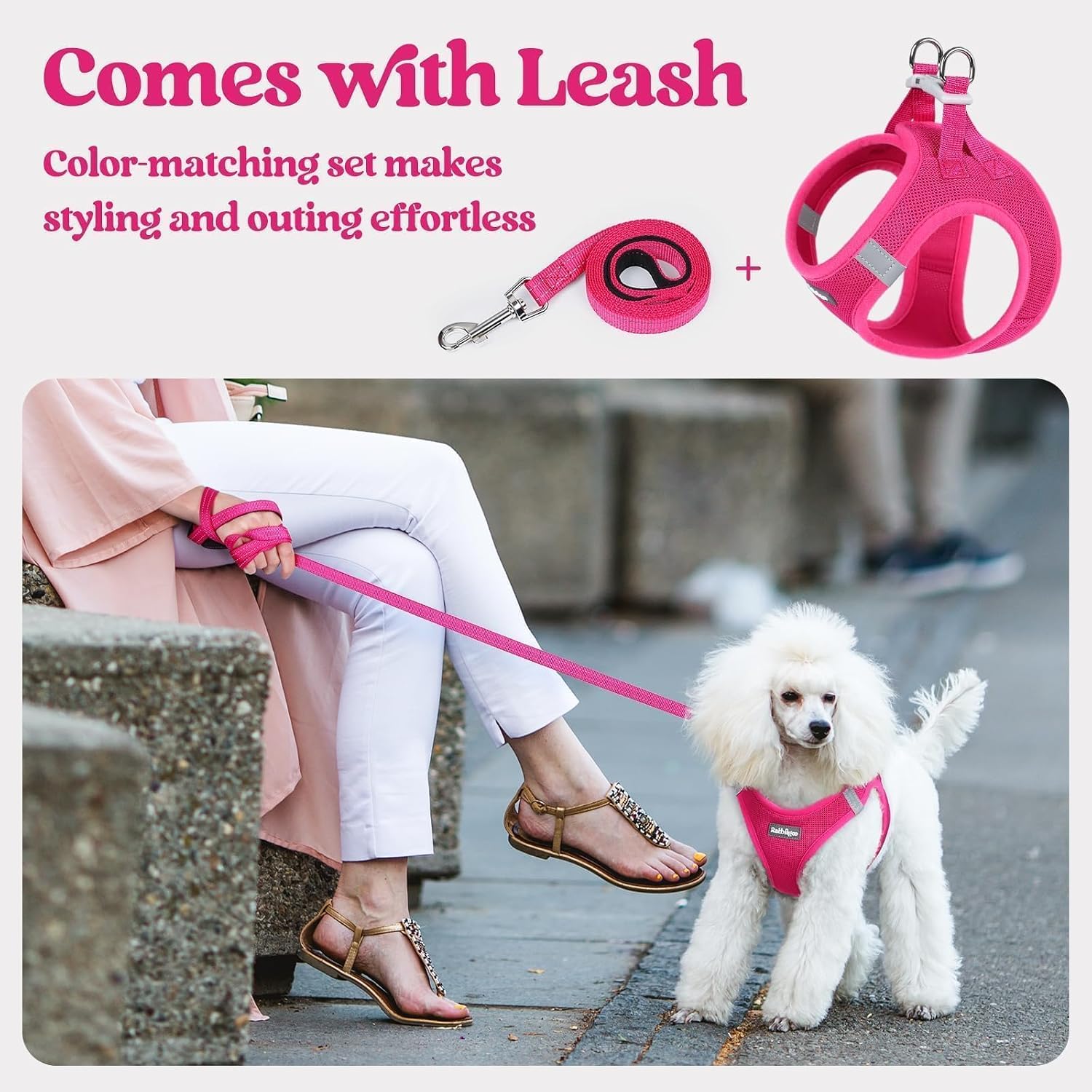 Detalle de rabbitgoo Dog Harness and Leash Set, Size M