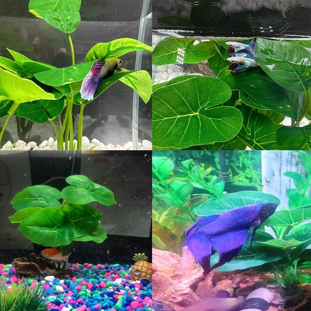 Thumbnail 6 de Smoothedo-Pets Green-Type-A 水槽用人工水草 15cm グリーンのレイアウト飾り