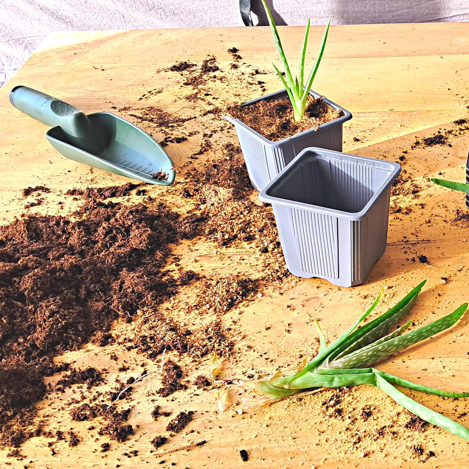 Thumbnail 3 de Verdonia lot de 70 godets en plastique 8 cm pour semis, repiquage et bouturage