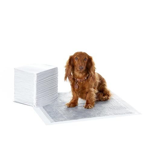 Detalle de Amazon Basics Almohadillas de adiestramiento para perros y cachorros, carbón y secado rápido (40 unidades) – Gris
