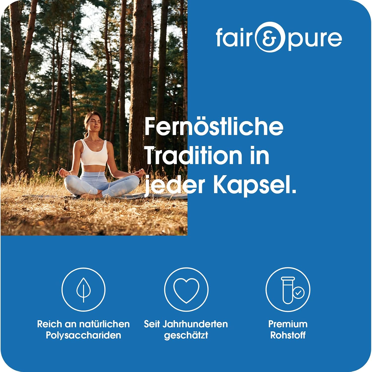 Detalle de Fair & Pure Shiitake 1300 mg pro Tagesdosis – Veganes Nahrungsergänzungsmittel, 120 Kapseln, hergestellt in Deutschland