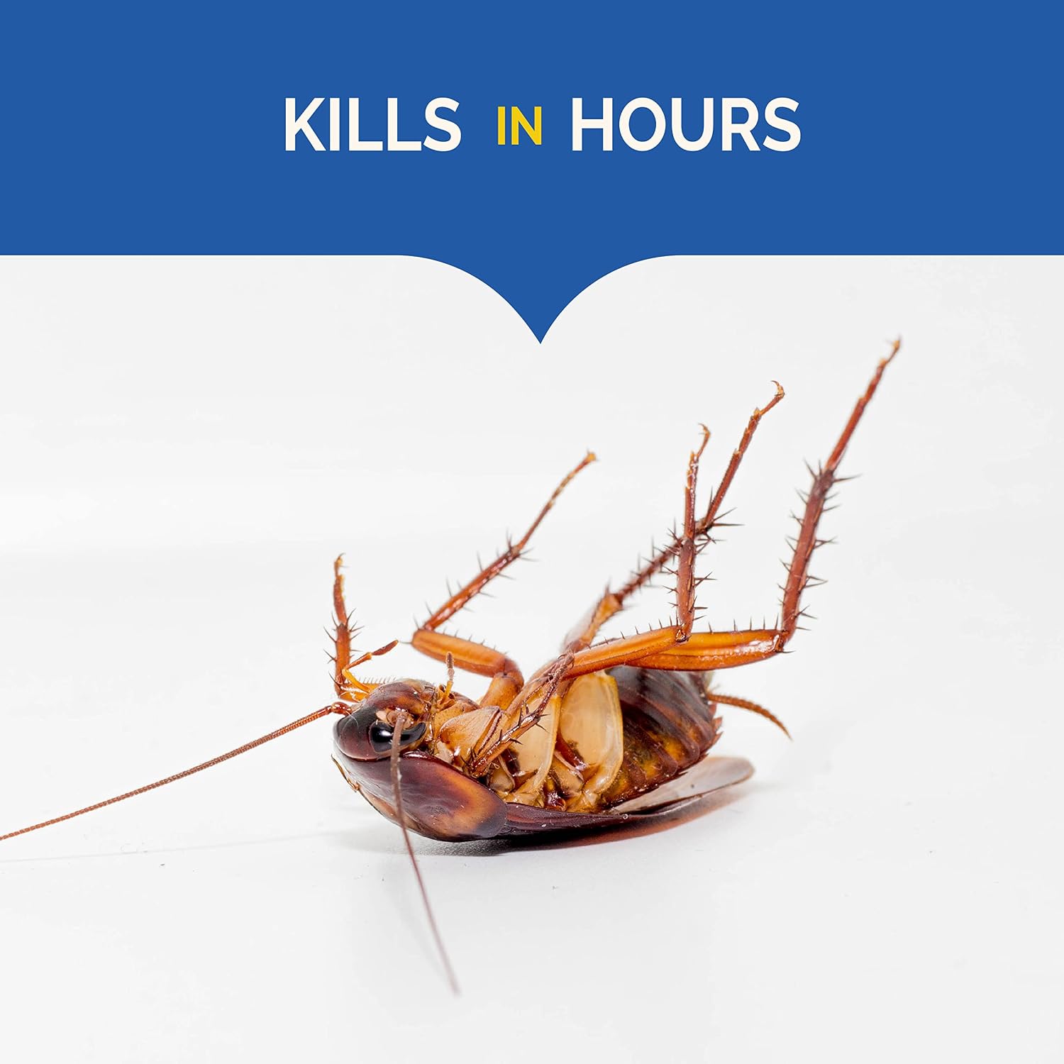 Thumbnail 4 de Hot Shot Ultra Liquid Roach Bait 6 Count: Quick-Kill Roach Control
