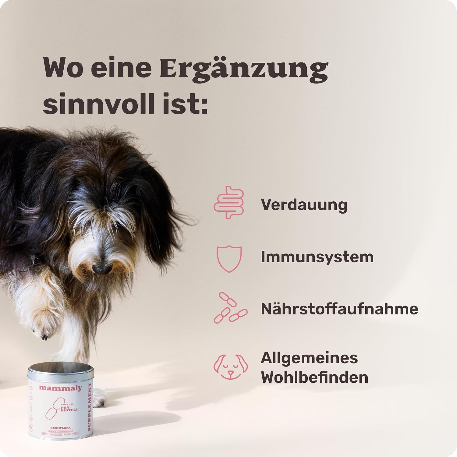 Detalle de Probiotika-Drops für Hunde 170 g – Verdauungssnacks zur Unterstützung der Darmflora