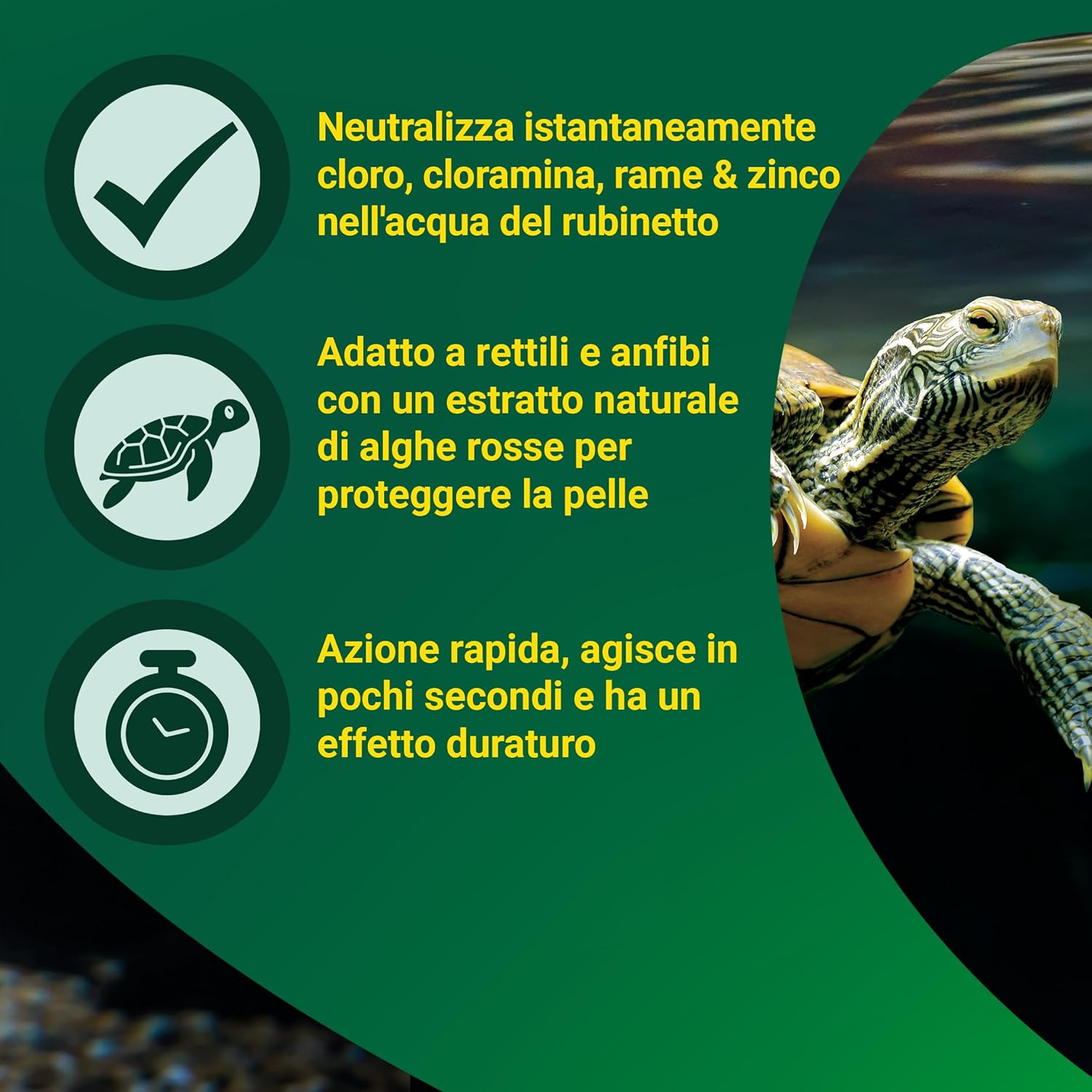 Detalle de Tetra ReptoSafe 250 ml: acqua sicura per tartarughe e anfibi acquatici