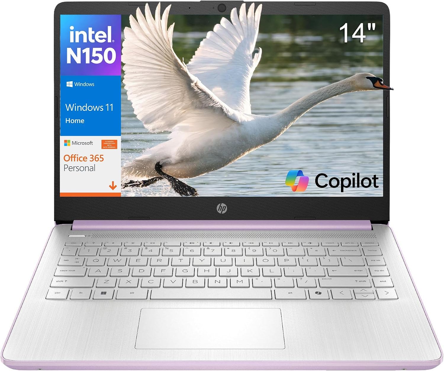 Detalle de HP 14-inch laptop