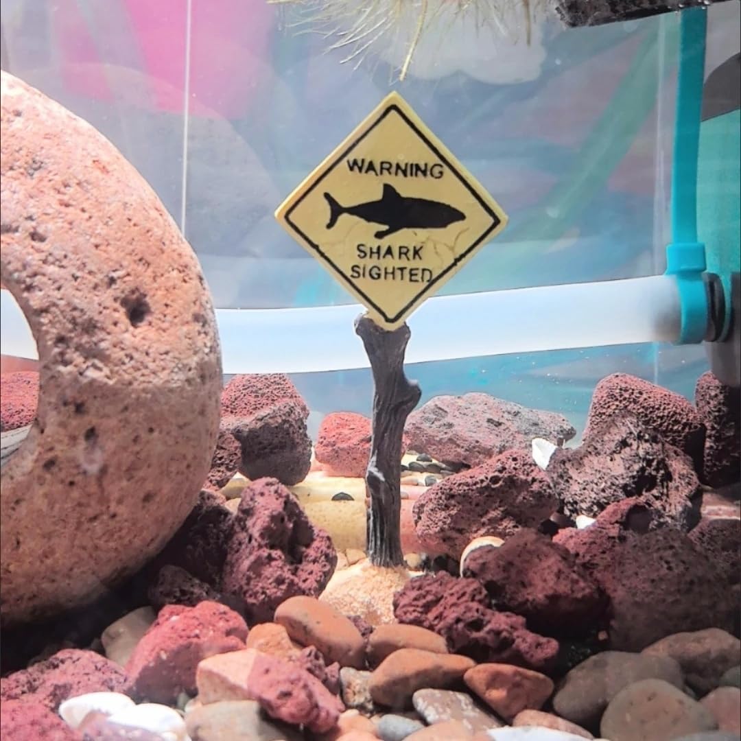 Thumbnail 3 de Cadzyre Harz Dekoration – Aquarium Warnschild mit Hai-Design für Beta-Aquarien (Gelber Hai, Klein)