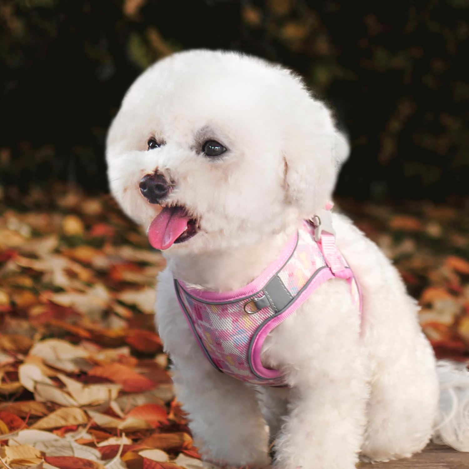 Thumbnail 6 de PawSailor No Pull Dog Harness and Leash Set (Pink XXS) with Floral Print