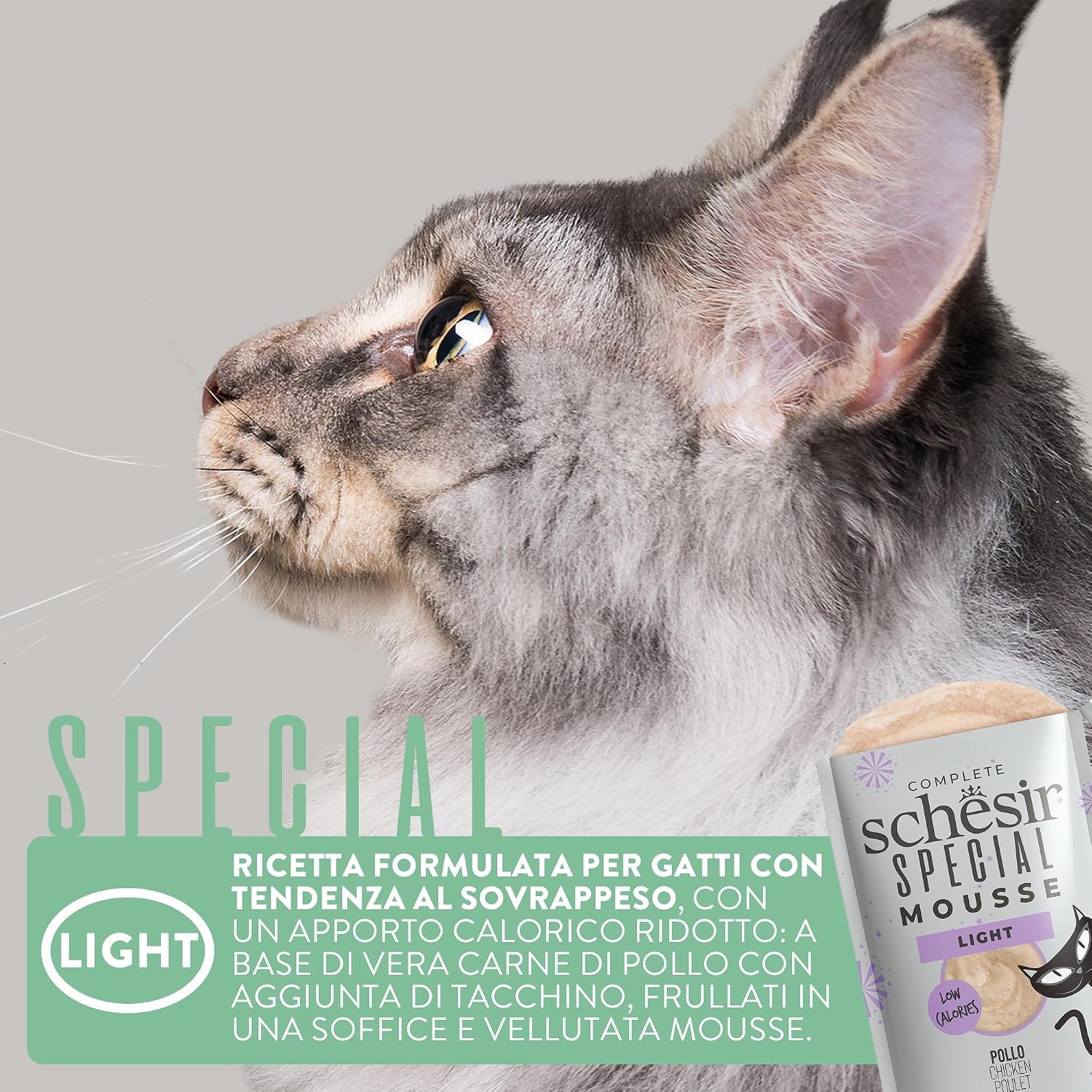 Detalle de Schesir Special Light Filetti di Pollo in Mousse per Gatti – Umido Grain Free, 12 x 70 g