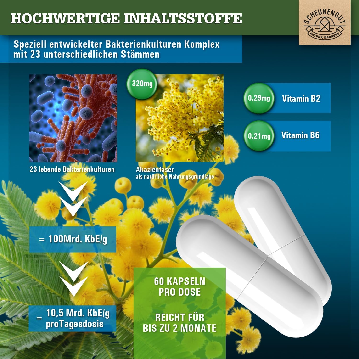 Thumbnail 1 de DE SCHEUNENGUT Probiotika 10 Mrd KBE
