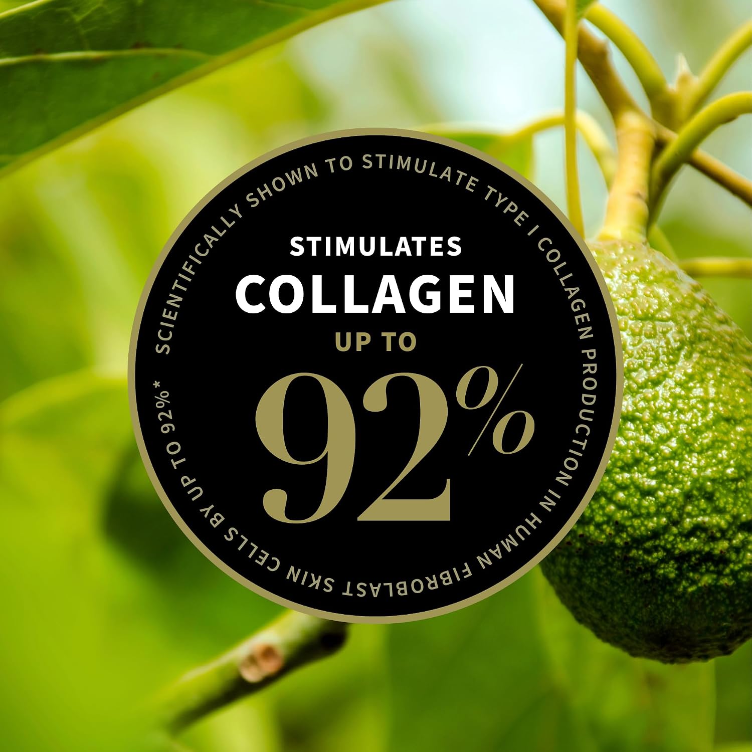 Detalle 2 de Antipodes Crème de Nuit Avocado Pear 60 ml