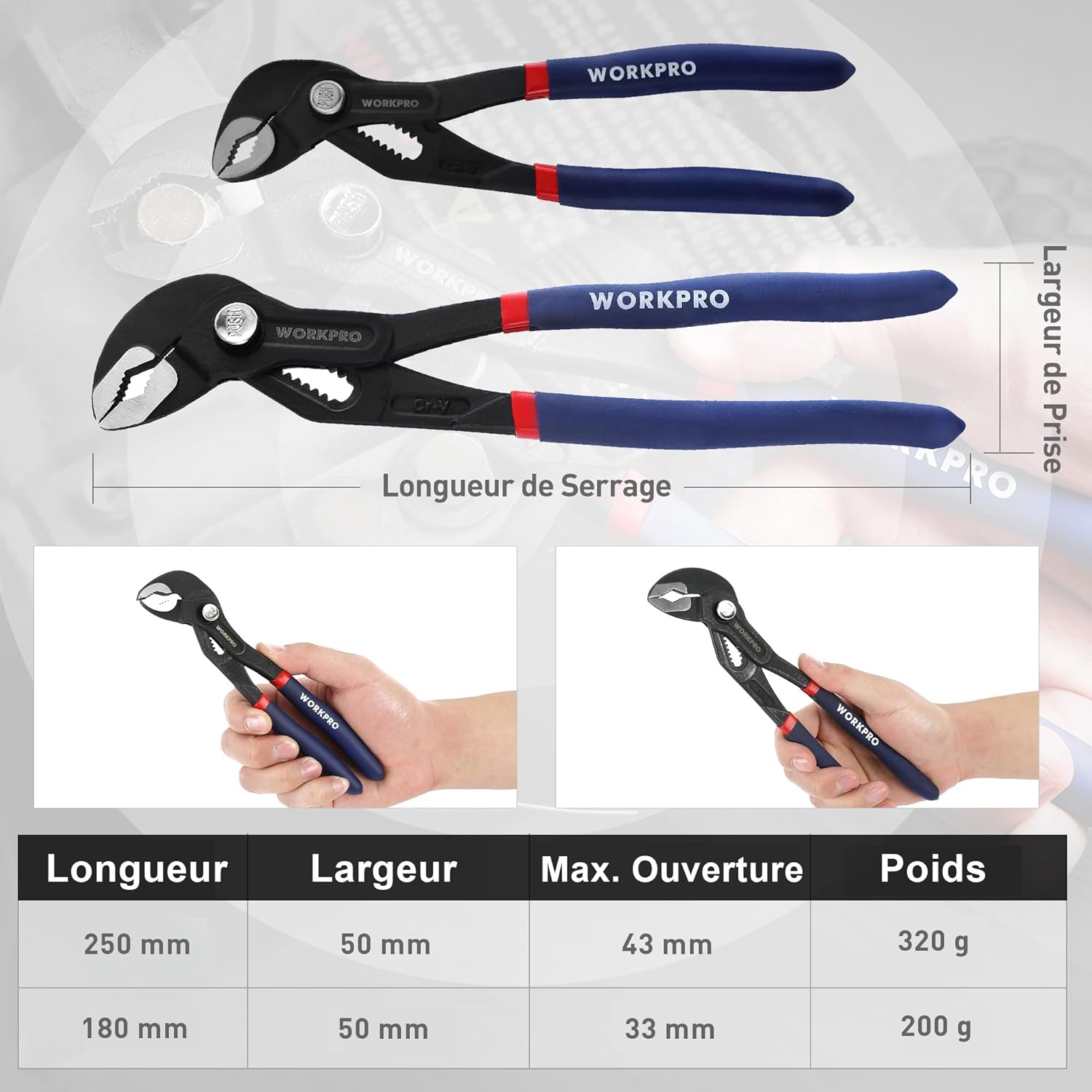 Detalle 2 de WORKPRO Pinces pompe eau 180/250 mm