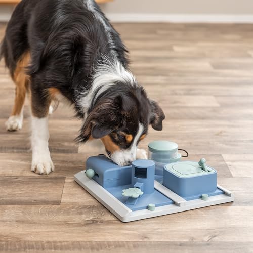 Detalle de TRIXIE Poker Box 2 – Strategiespiel für Hunde, 31 x 31 cm