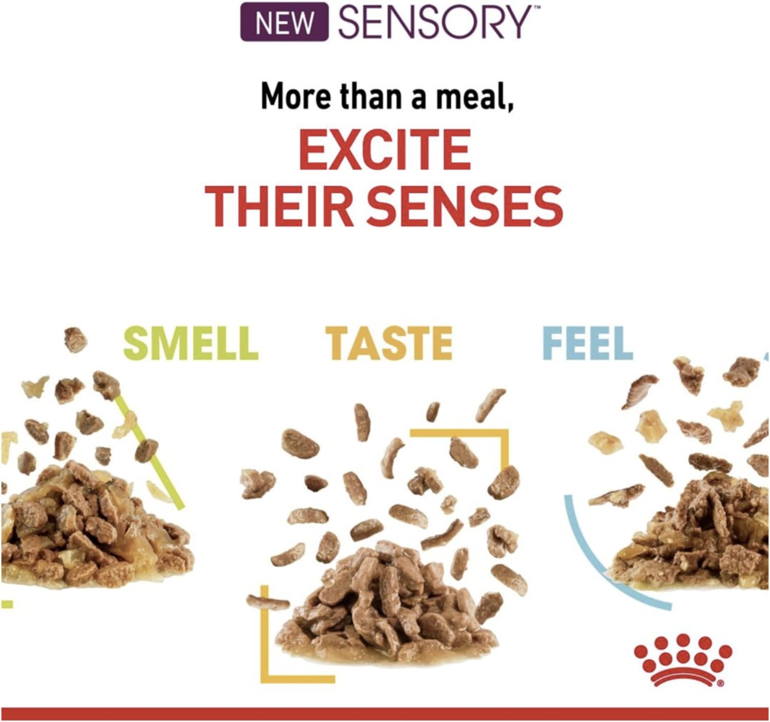 Detalle de ROYAL CANIN Sensory Smell Nassfutter Katzen – Chunks in Sauce, 12×85 g