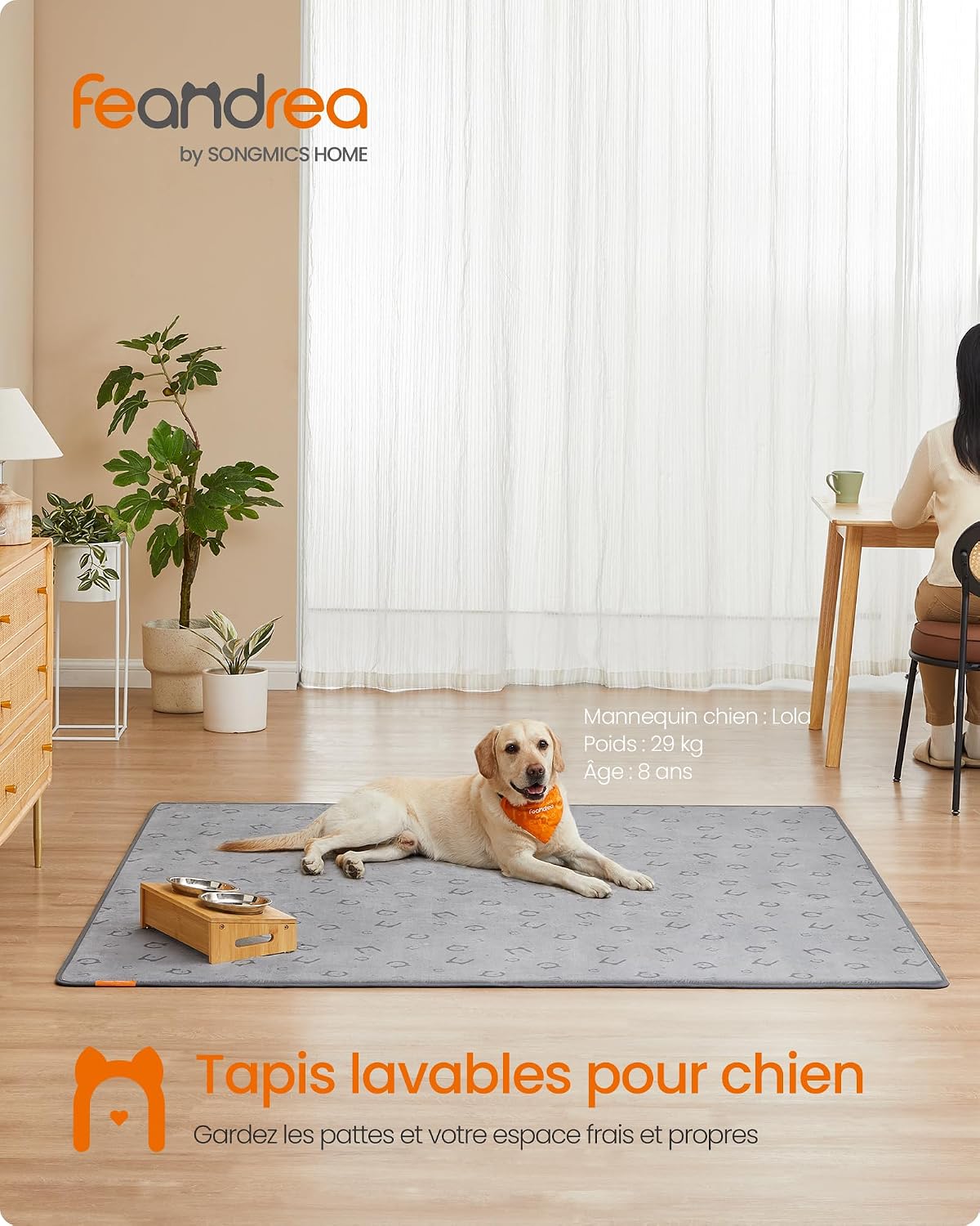 Thumbnail 1 de Feandrea Tapis Absorbant Lavable pour Chien – XXL 183x183 cm, 2 paquets, Gris Tourterelle