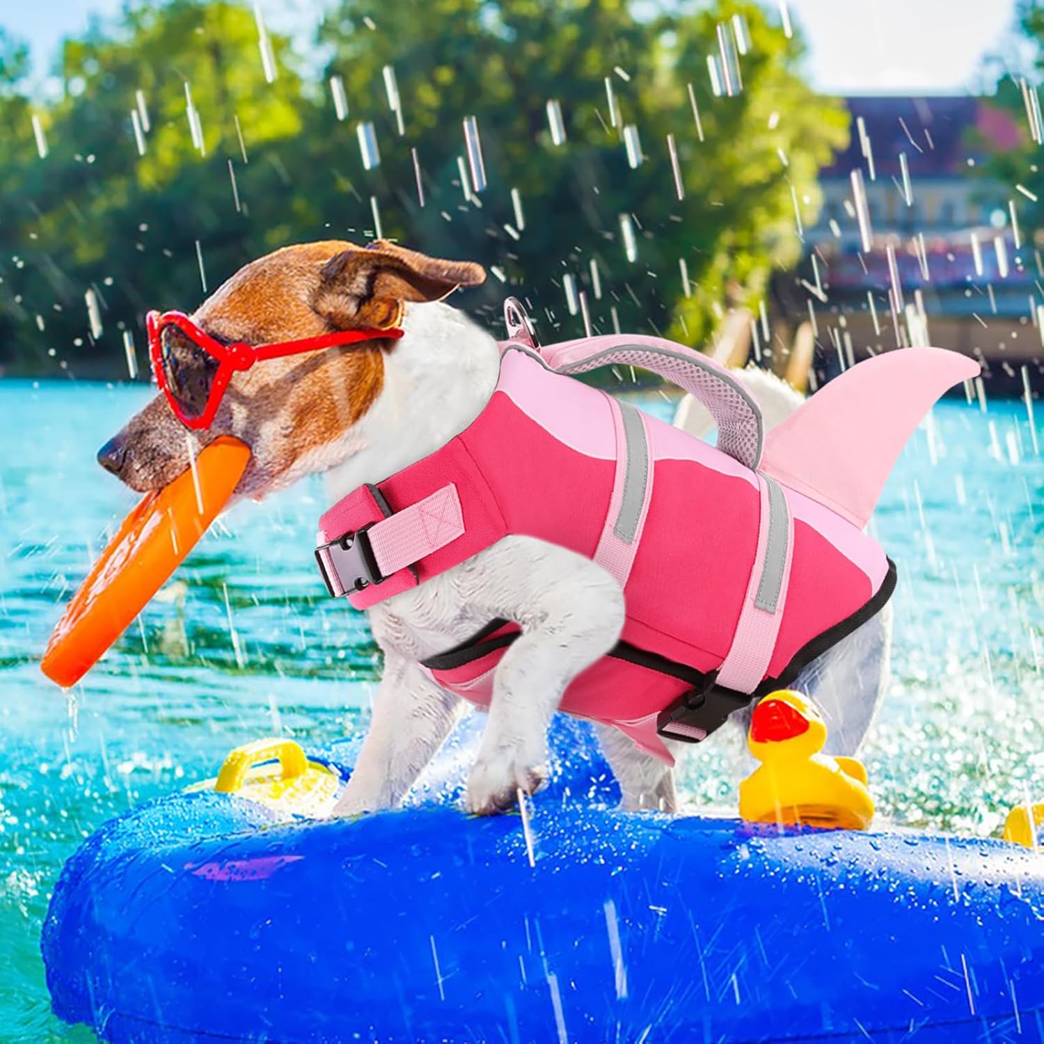 Thumbnail 6 de AOFITEE Dog life jacket, XS