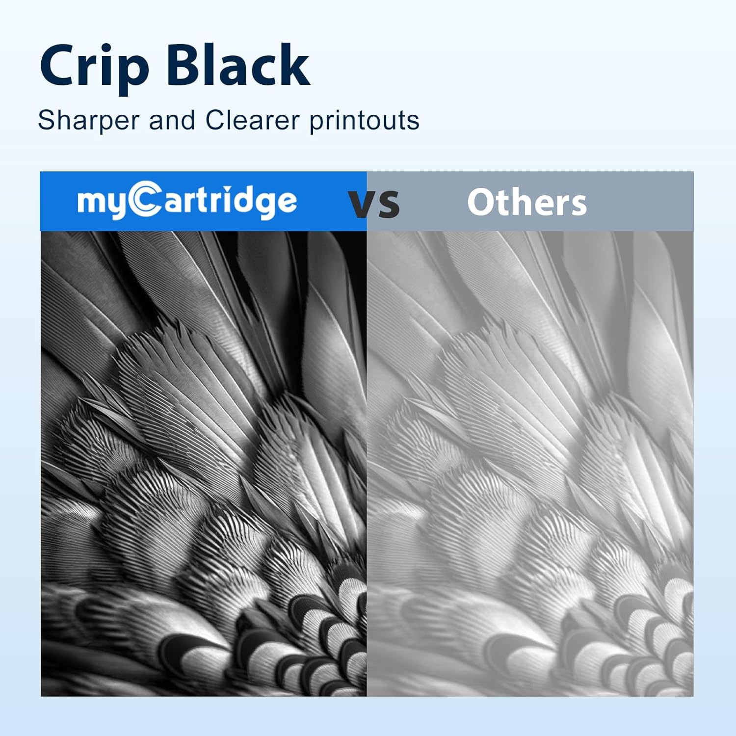 Thumbnail 4 de myCartridge TN2420 Toner 3000 Seiten 🖨