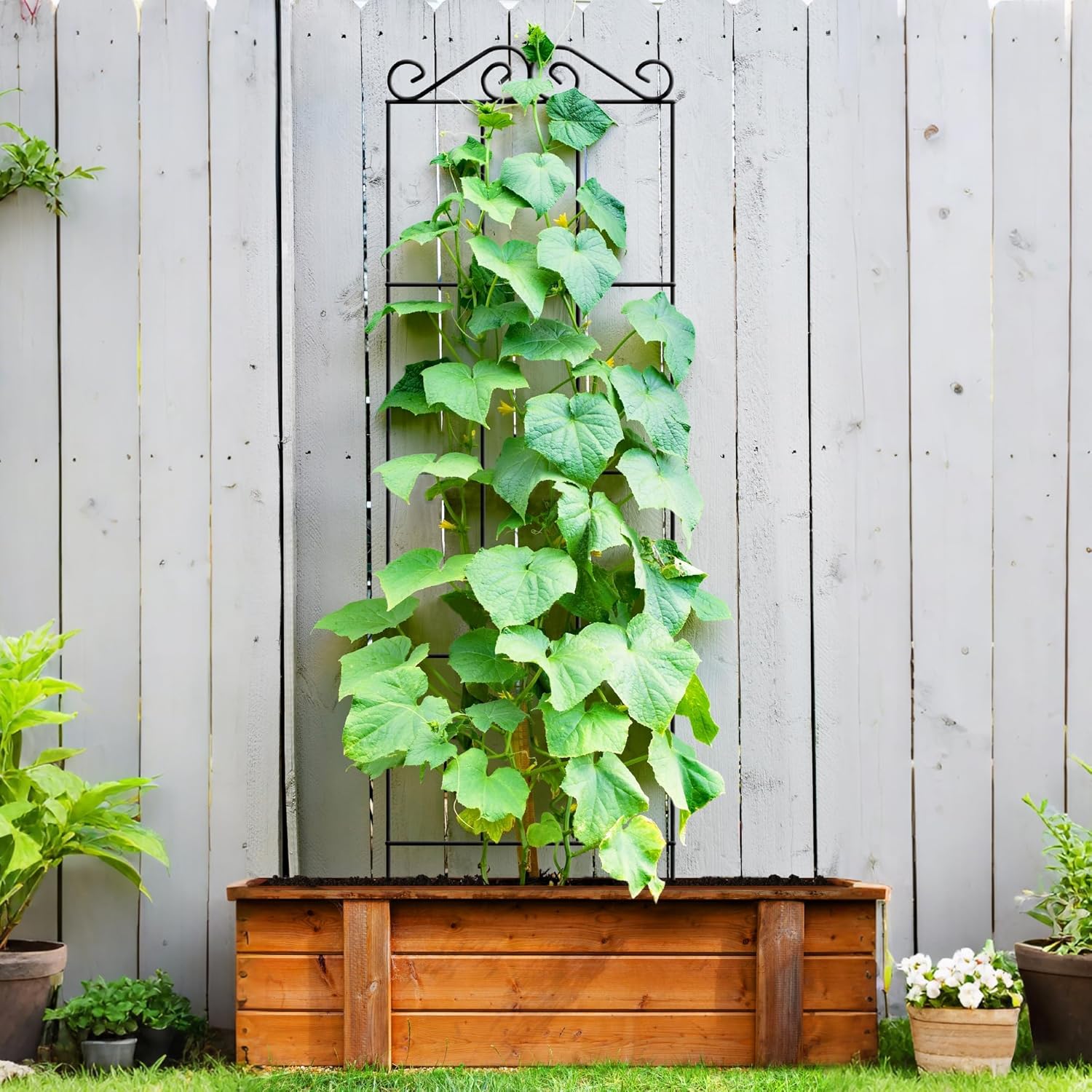 Thumbnail 5 de ARIFARO 147cm / 58" Metal Garden Trellis (Pack of 4) for Climbing Plants