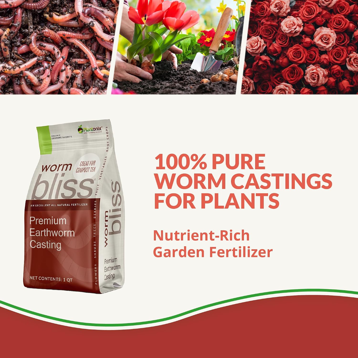 Detalle 2 de Plantonix Worm Bliss Organic Worm Castings, 1-Quart OMRI-Listed Soil Amendment