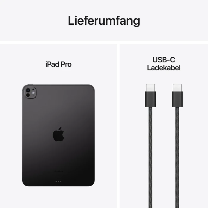 Thumbnail 11 de Apple iPad Pro 11" 2 TB