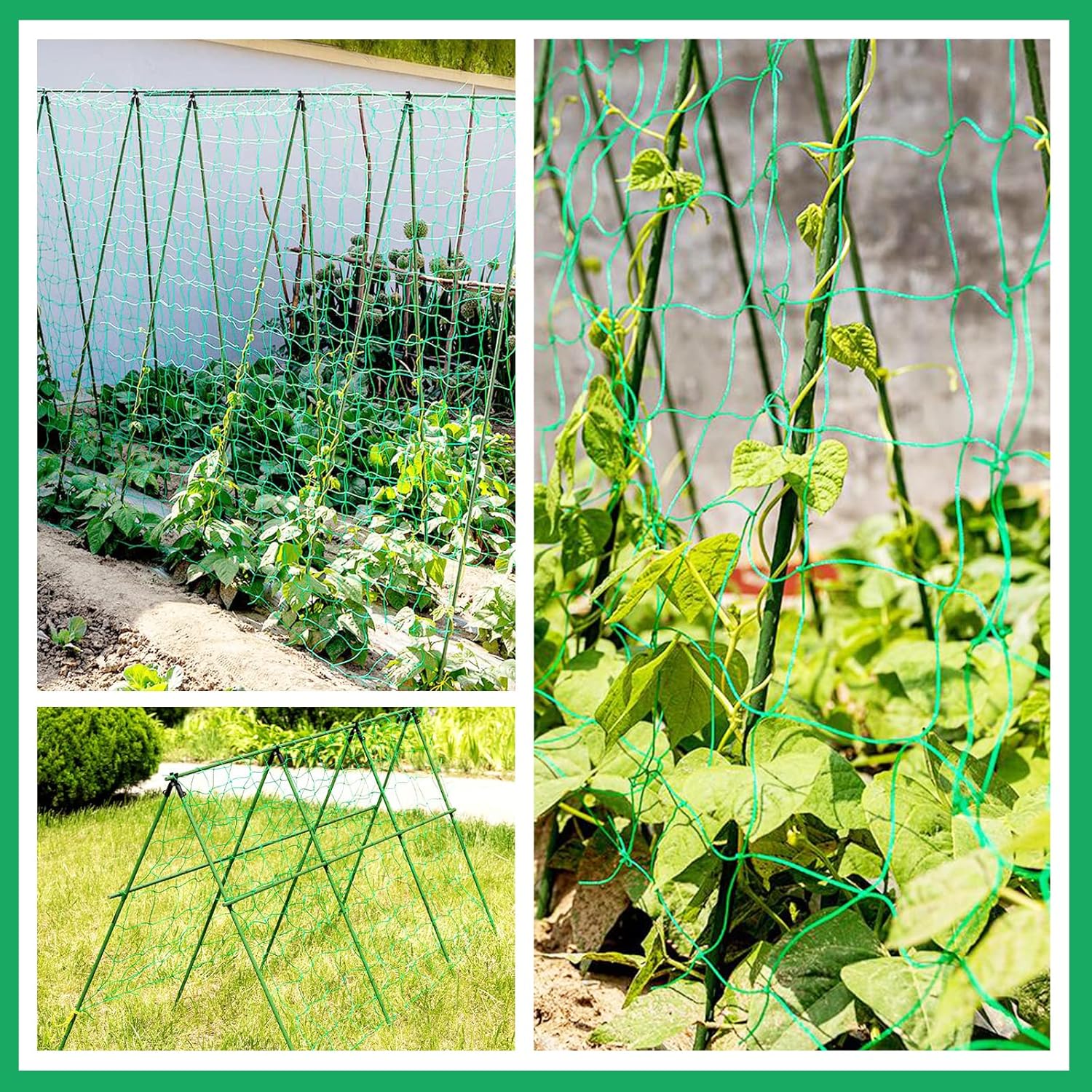 Thumbnail 6 de KINGLAKE Pea and Bean Netting 5x1.8m green nylon trellis net with 10x10cm mesh