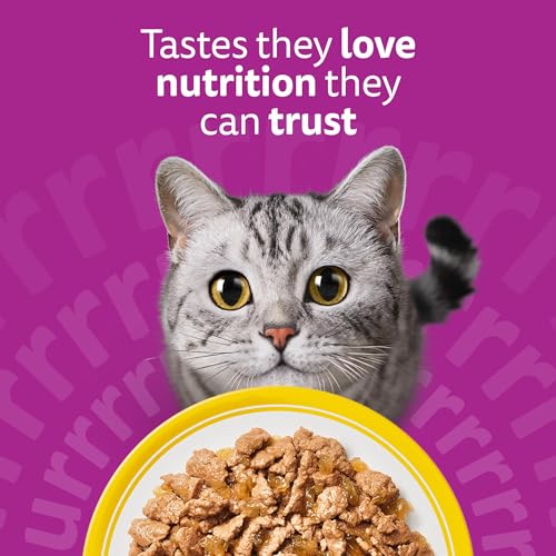 Thumbnail 7 de Whiskas Adult Wet Cat Food in Jelly Poultry Feasts 40x85g — A practical daily dinner for 1+ cats