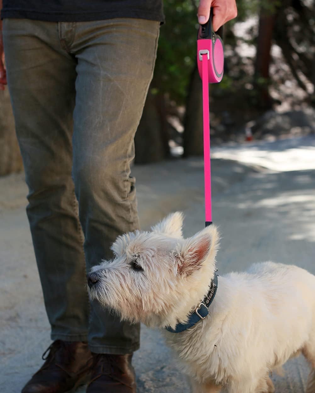 Thumbnail 6 de Taglory Retractable Dog Lead 5 m (Extendable No-Tangle Nylon Tape) – Pink, up to 20 kg