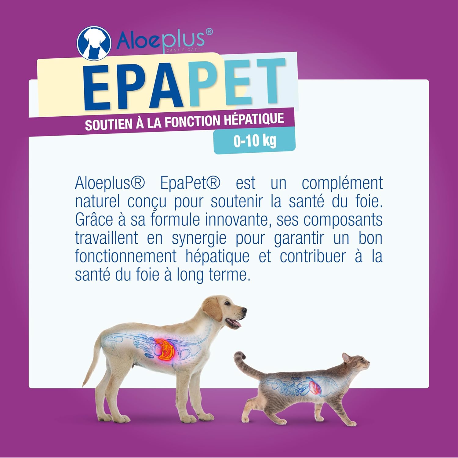 Thumbnail 6 de ALOEPLUS EpaPet - Complément naturel en capsules pour le foie des chiens et chats de petite taille (0-10 kg) avec chardon-Marie, bétaïne et vitamines