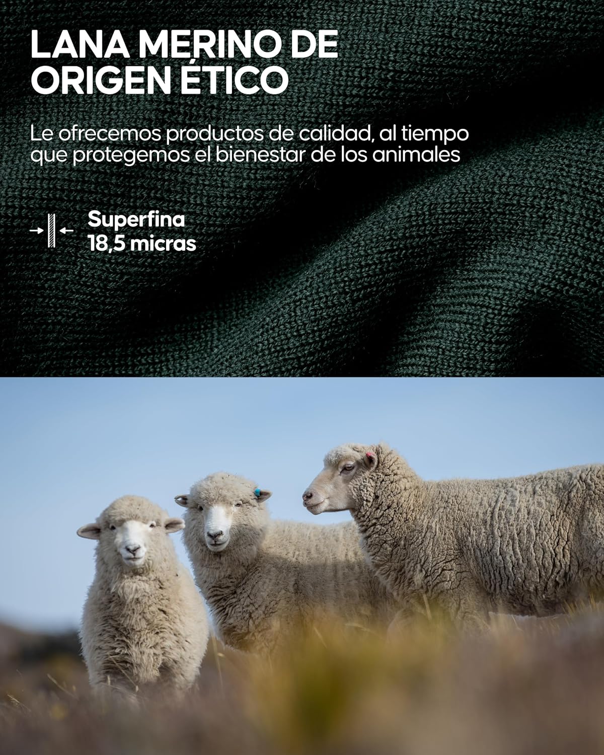 Thumbnail 4 de Danish Endurance Braga cuello Merino 80/20