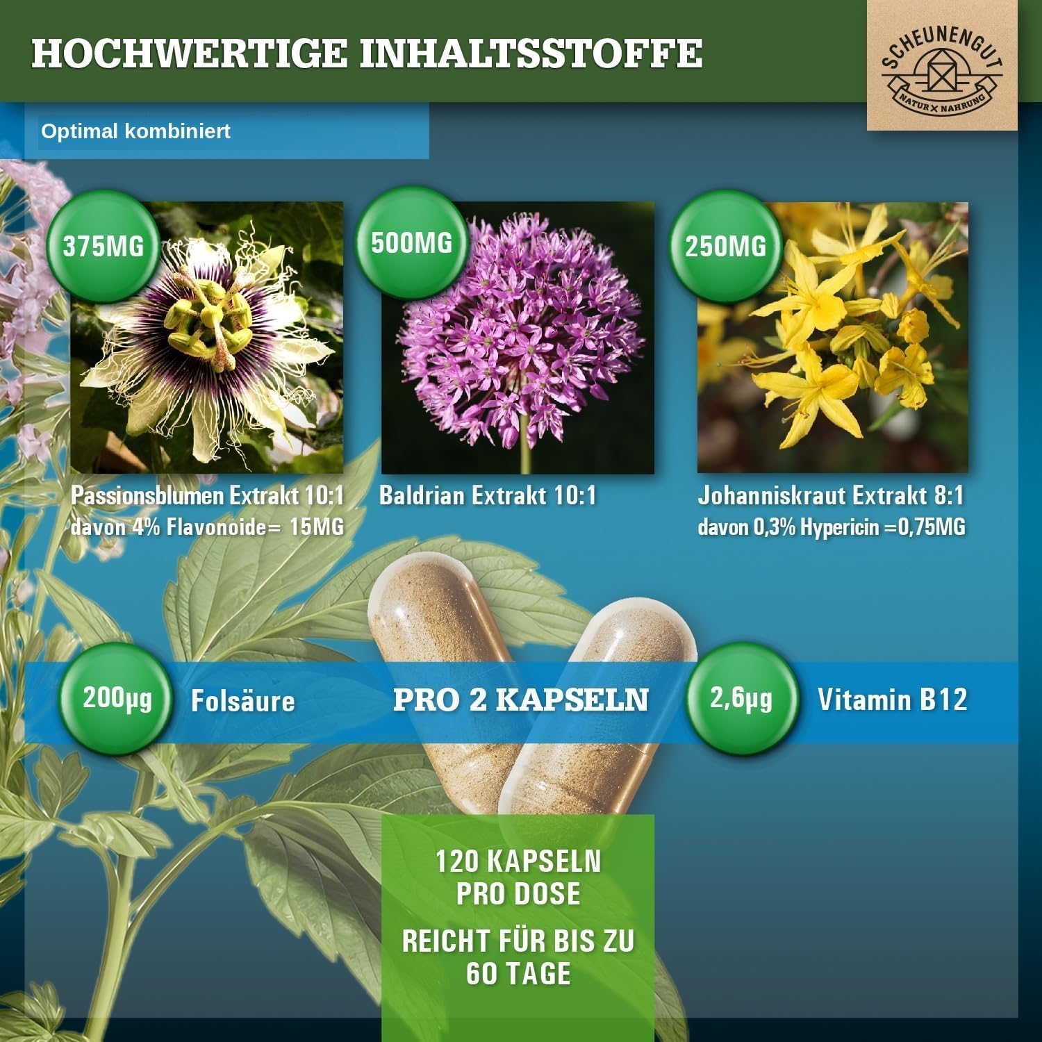 Detalle 2 de INNERE BALANCE® Passionsblume Johanniskraut Baldrian Hochdosiert – Laborgeprüfter Markenkomplex mit Hypericin, Hyperforin, Folsäure & Vitamin B12 (120 Kapseln)