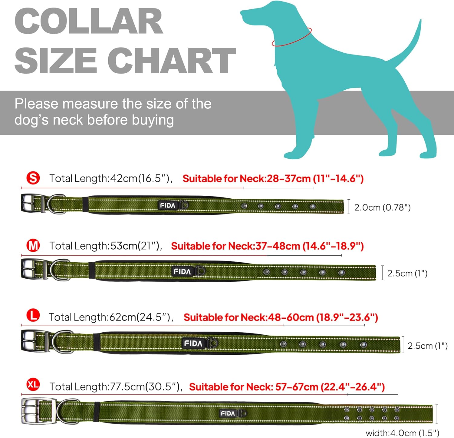 Detalle de Fida Padded Dog Collar with Metal Belt Buckle and Double-Layer Webbing (Green)
