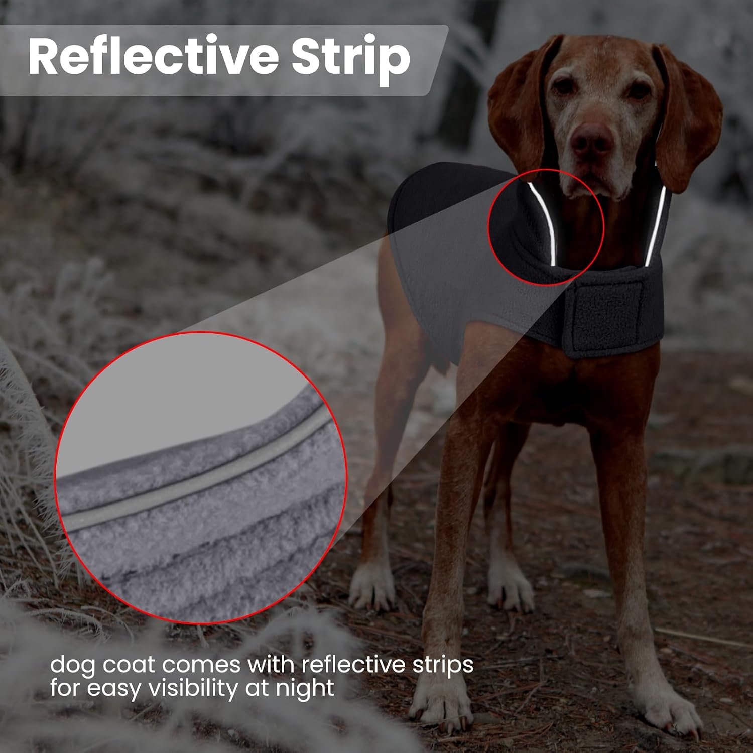 Detalle 2 de DENTRUN Reversible Dog Coat, 100% Polyester