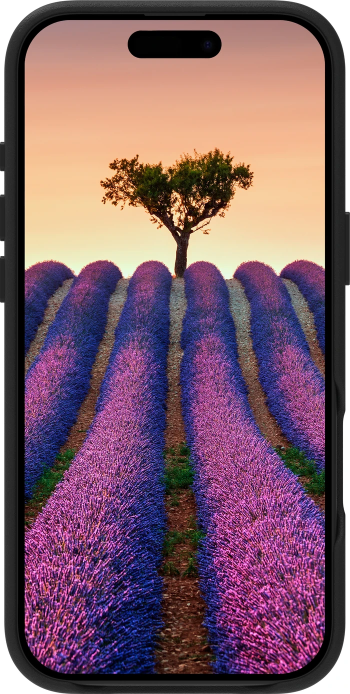 Thumbnail 5 de dbramante1928 Roskilde Backcover mit MagSafe für iPhone 17 Air aus Leder (Schwarz)