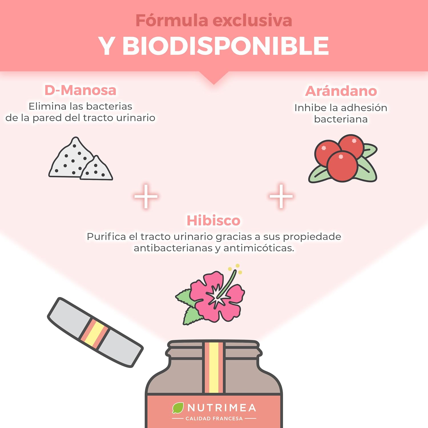 Detalle 2 de CYSTICURE Nutrimea 60 cápsulas