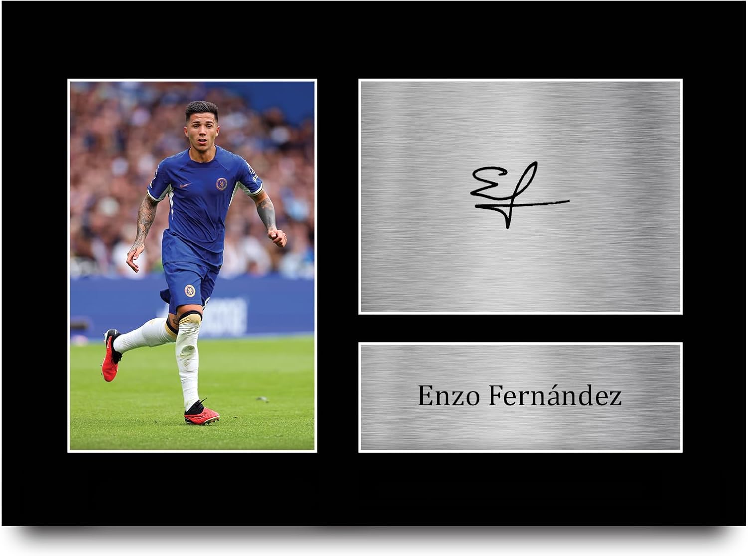 HWC Trading A4 Enzo Fernandez Chelsea signed autograph picture (printed) for football fans