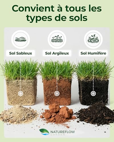 Thumbnail 7 de Natureflow Gazon Regarnissage Rapide 0,5 kg (20 m2) – Pelouse à semer, croissance rapide et autoréparation naturelle
