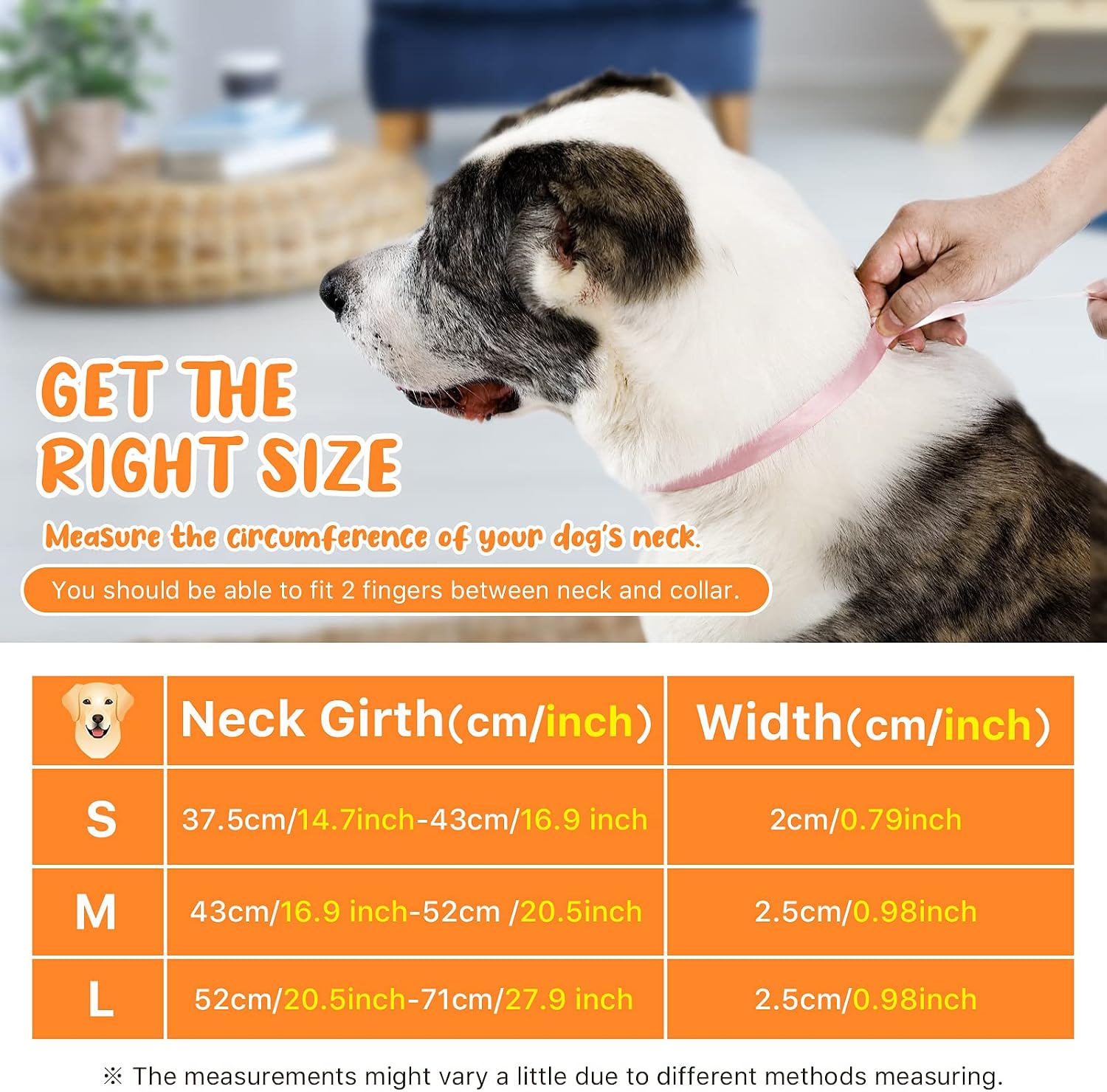 Thumbnail 6 de PETTOM Martingale dog collar, orange, 43-52cm