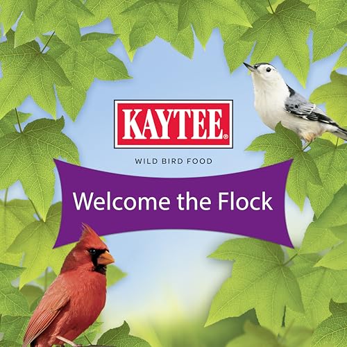 Thumbnail 8 de Kaytee Nut & Fruit Wild Bird Seed, 5 lb: A Versatile Backyard Blend for Colorful Visitors